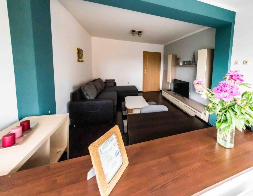 Апартаменты Apartament Тимишоара Экстерьер фото